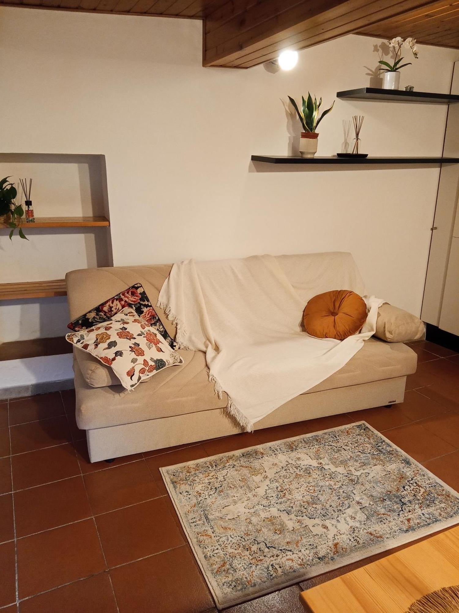 Casa Romantica Vicino Al Centro Di Firenze エクステリア 写真