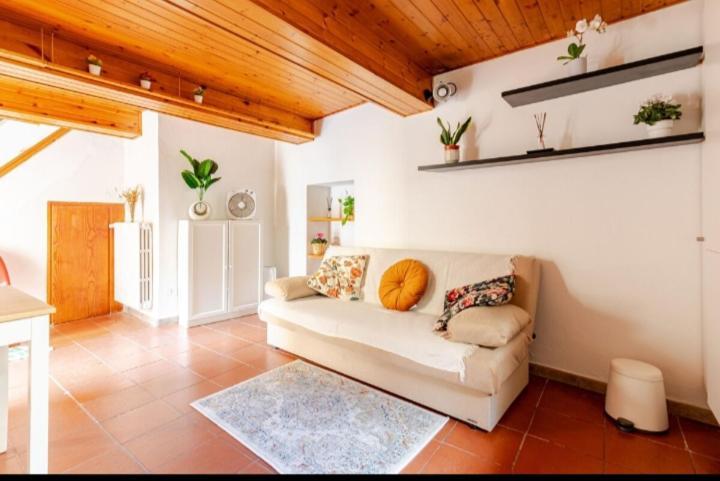 Casa Romantica Vicino Al Centro Di Firenze エクステリア 写真